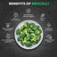 Logan's super greens pulver - 100g