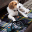 Adjustable dog leash - Evergreen