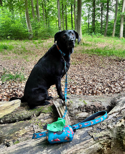 Bag holder - Hunting ground