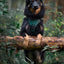 Adventure Trails Dog Harness - Evergreen