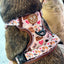 Adventure Trails dog harness - Take a break, with Coffee N' Cake