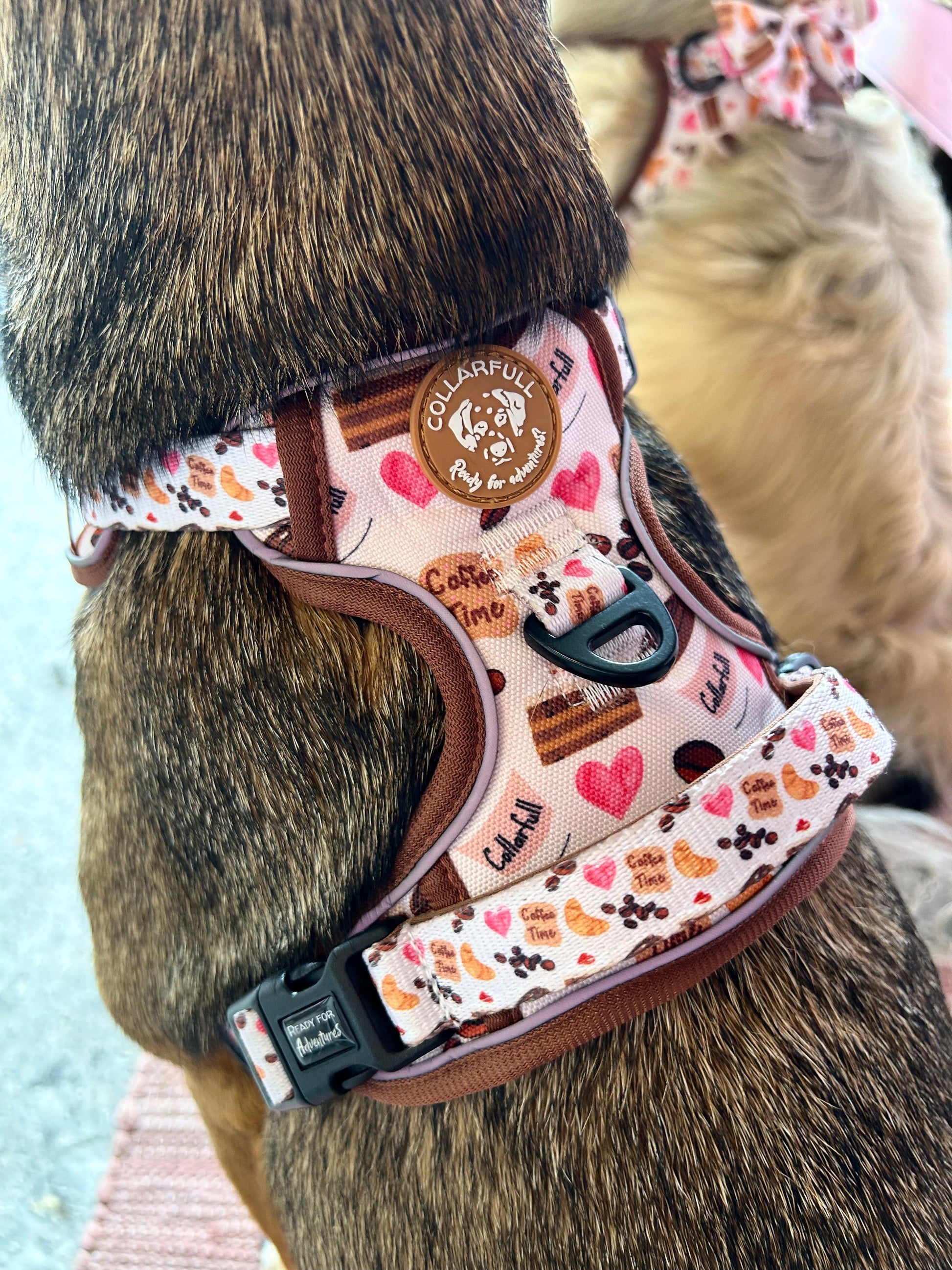 Adventure Trails dog harness - Take a break, with Coffee N' Cake