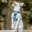 Adventure Trails Dog Harness - Hunting Ground