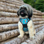 Adventure Trails Dog Harness - Hunting Ground