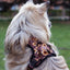 Adventure Trails dog harness - Sunflowers on my mind