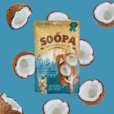 Dried coconut chew